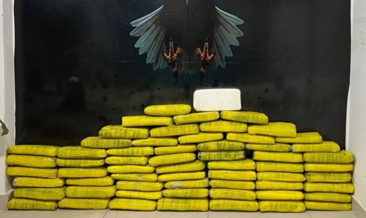 POLÍCIA CIVIL APREENDE MAIS DE 52 KG DE DROGAS EM PETROLINA, PE