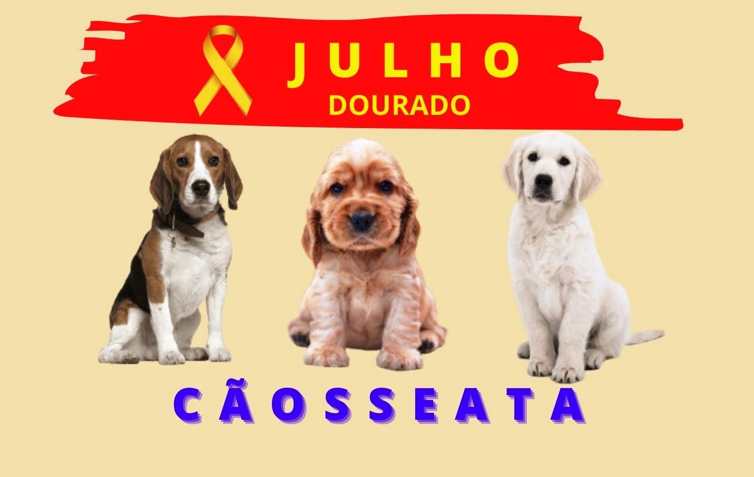 Cabrobó promove a 1ª Cãosseata.