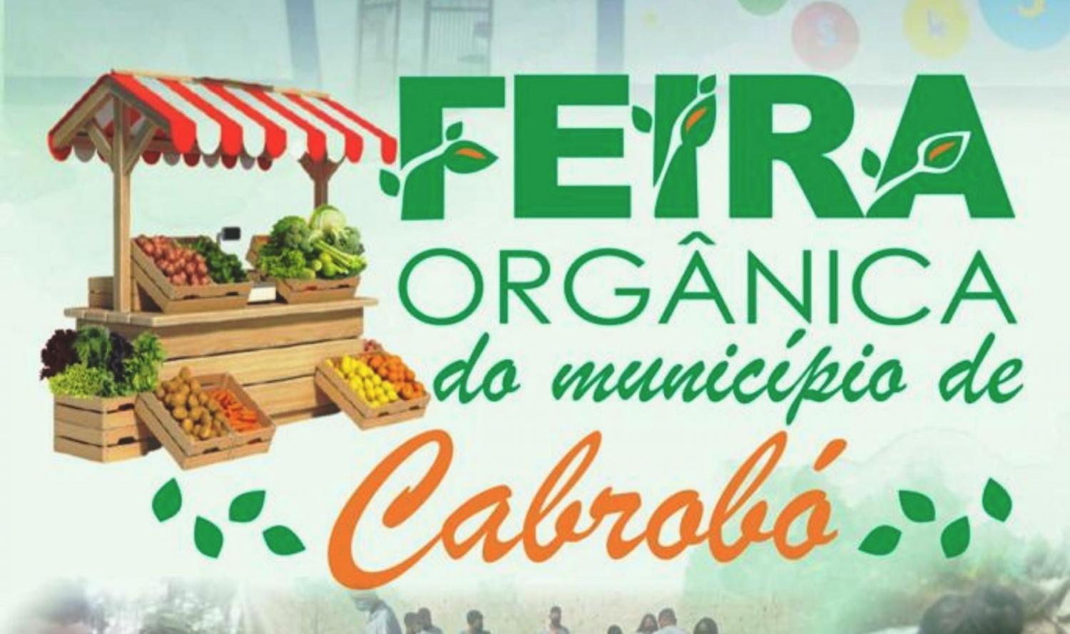 I Feira Orgânica Municipal de Cabrobó acontece na próxima quinta-feira dia 28.