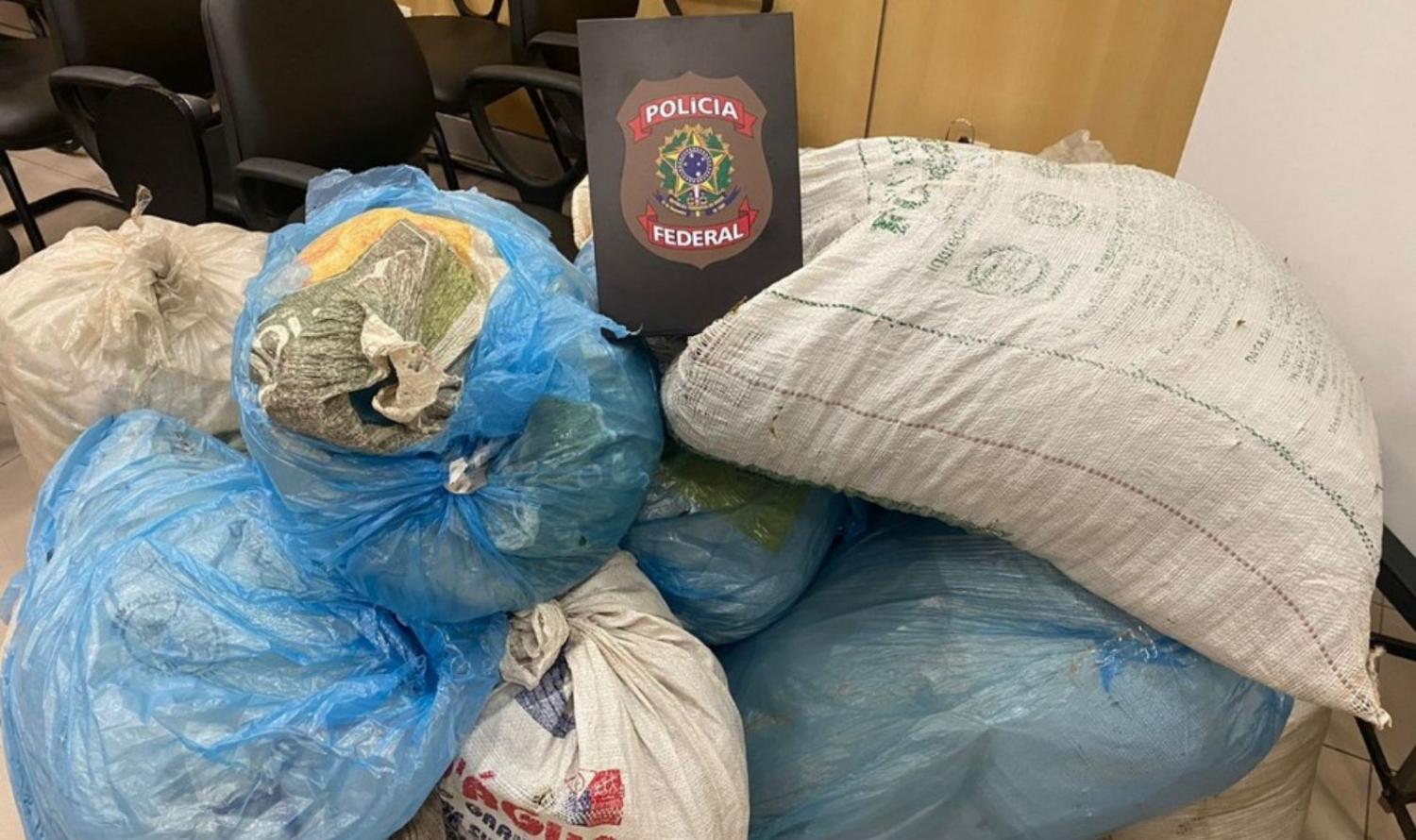 Polícia apreende 127 kg de maconha na zona rural de Carnaubeira da Penha, PE.