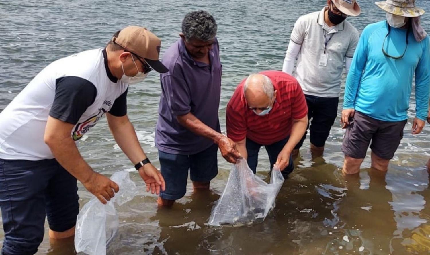 Prefeitura Municipal de Orocó realiza soltura de alevinos em alusão ao dia do Rio São Francisco.