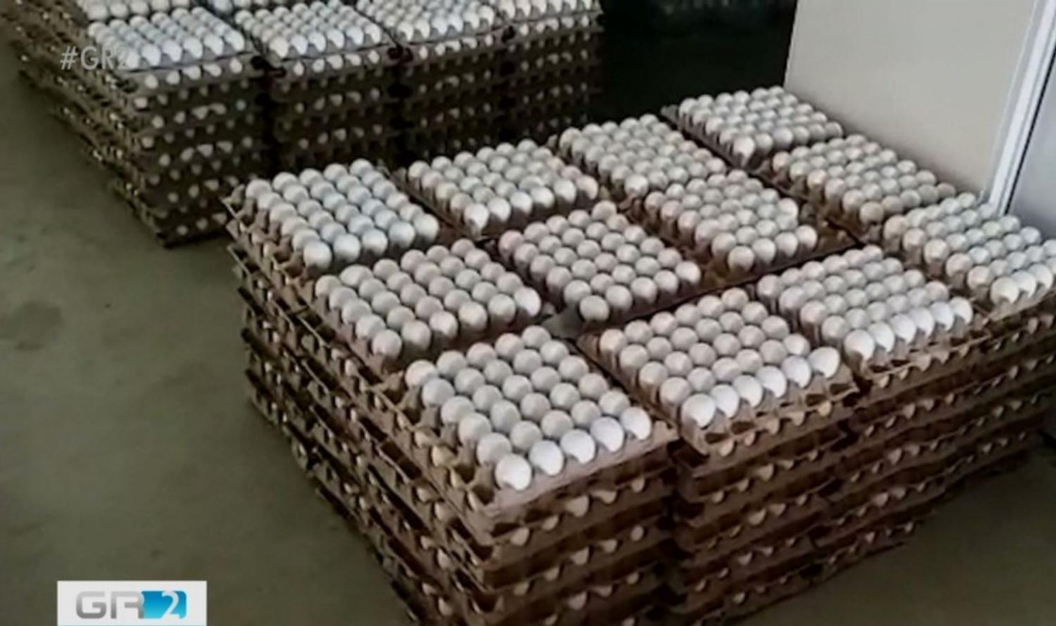 Cerca de 150 mil ovos que seriam utilizados na merenda escolar são jogados no lixo em Salgueiro, PE