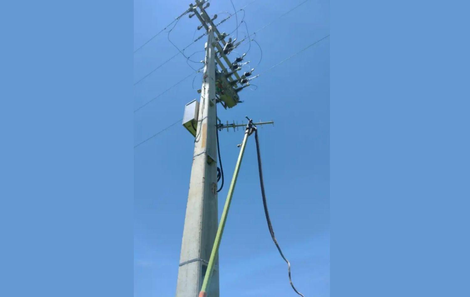 Cobra se enrosca em fio de poste e provoca queda de energia em Serra Talhada, PE