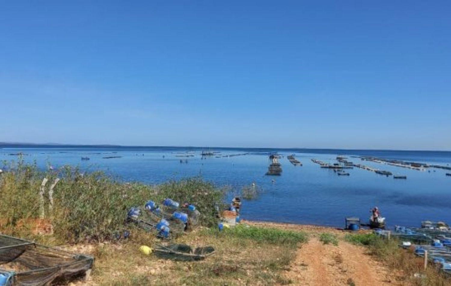 Filé de tilápia a vácuo é aposta de cooperativa em Sobradinho, BA