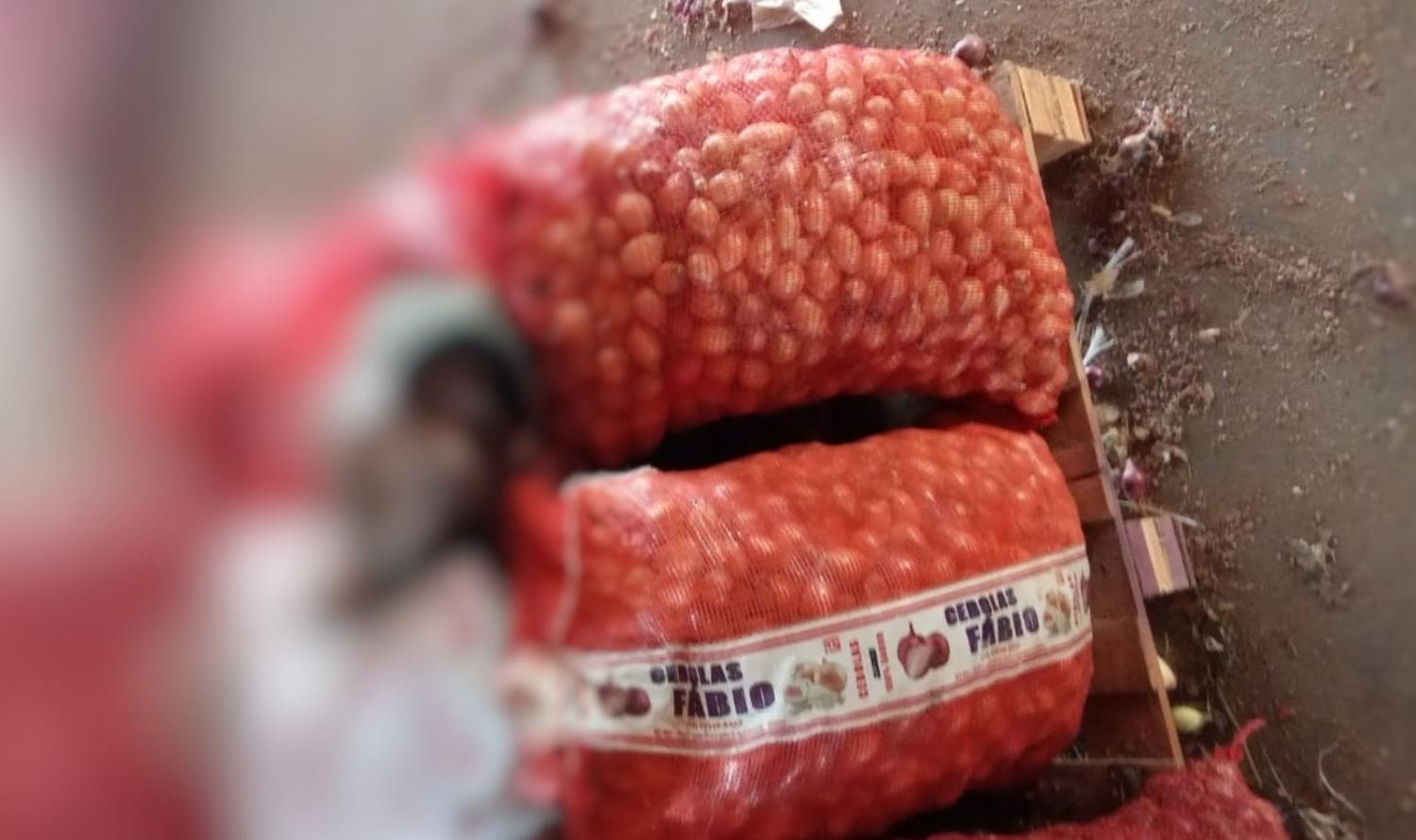 Homem é encontrado morto no Ceasa de Cabrobó, PE