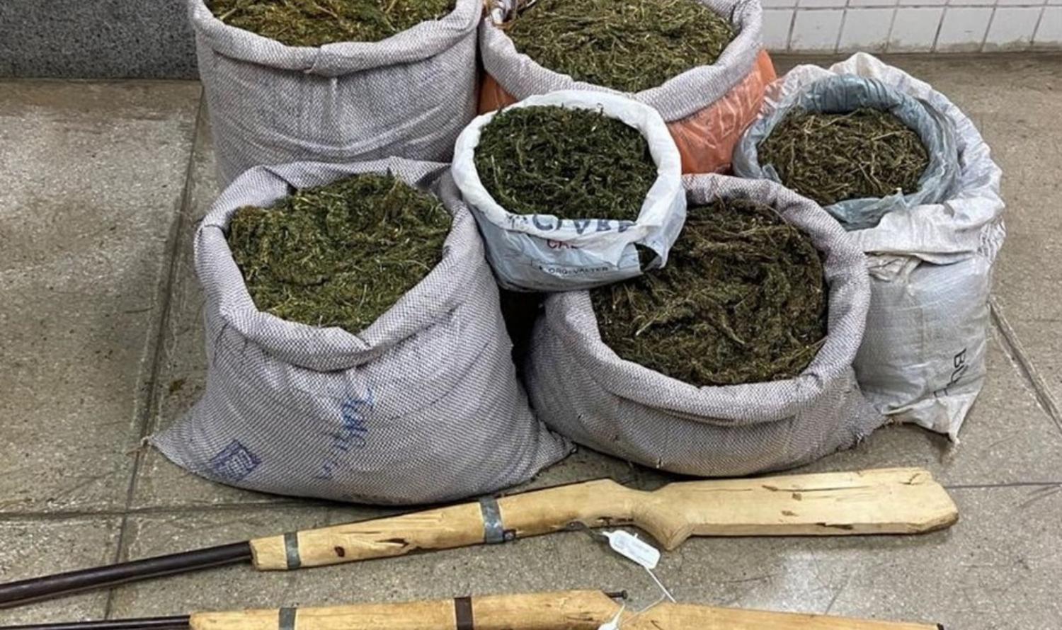 Homem é preso com 30,2 kg de maconha e armas de fogo em Carnaubeira da Penha, PE
