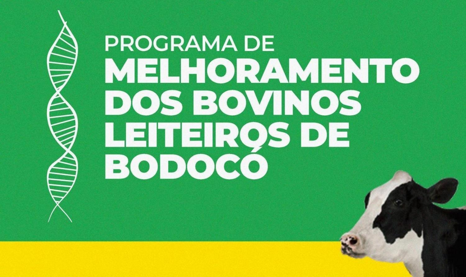 Prefeitura de Bodocó inicia cadastro de produtores em programa de melhoramento de bovinos leiteiros