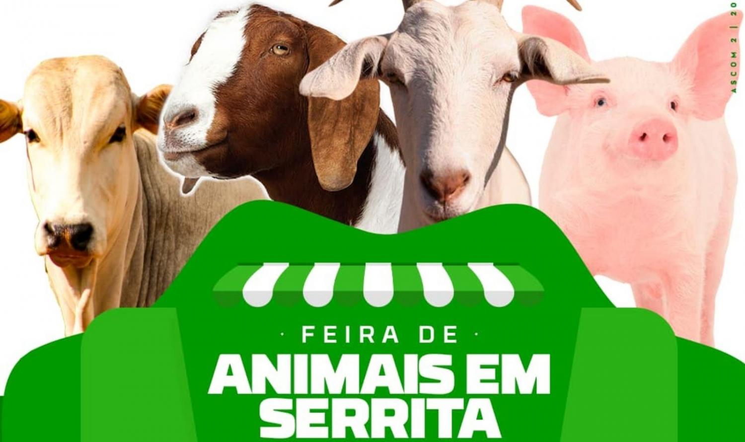 Prefeitura de Serrita vai realizar Feira de Animais