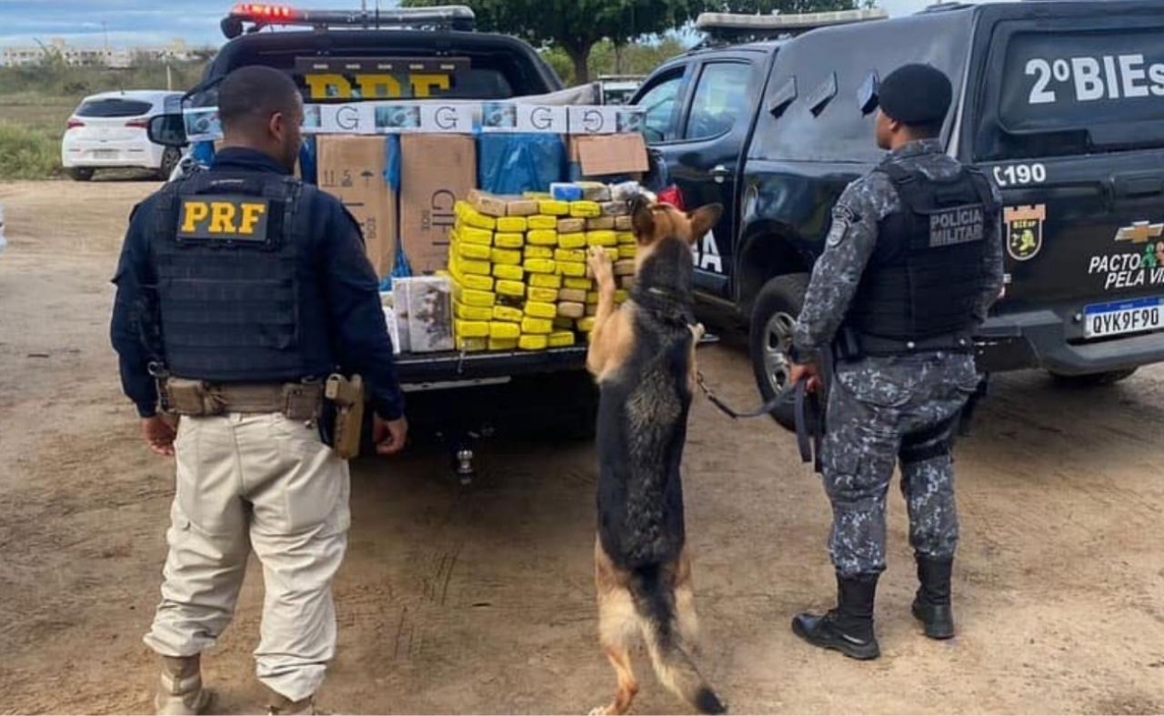 Operação policial apreende drogas e materiais contrabandeados em Petrolina, PE