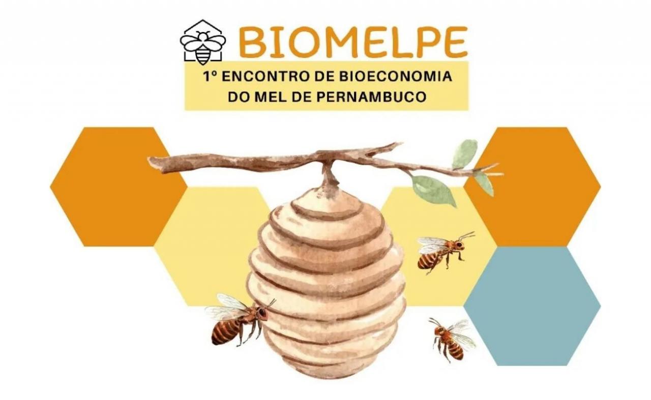 Triunfo sedia 1° Encontro de Bioeconomia do Mel de Pernambuco