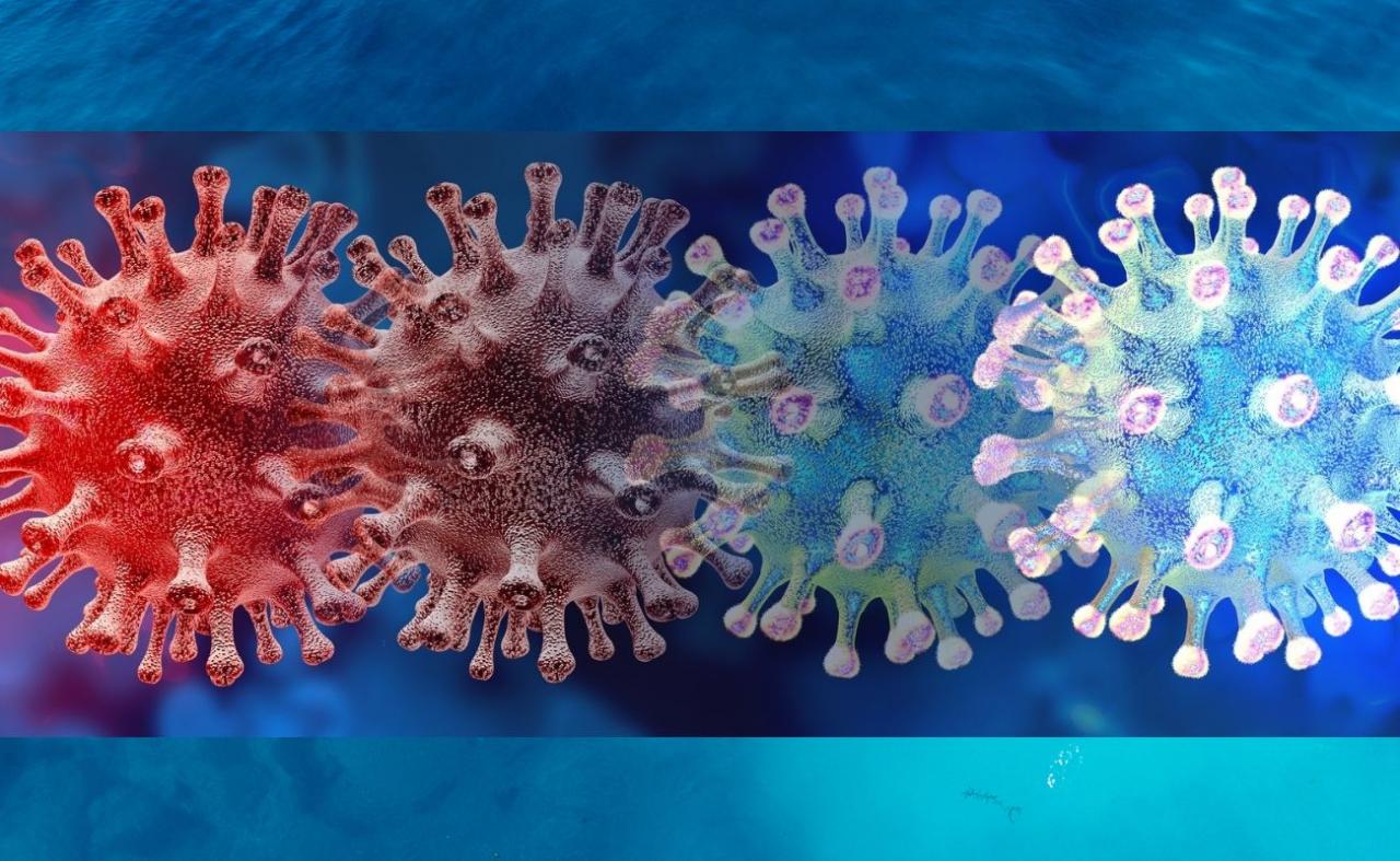 Pernambuco confirmou a circulação da subvariante BA.4 da Ômicron no Estado