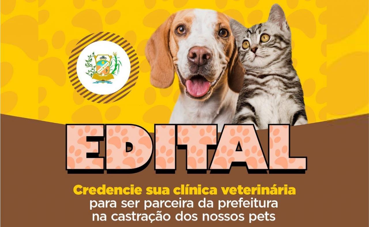 Prefeitura de Araripina abre edital para credenciamento de Clínica Veterinária