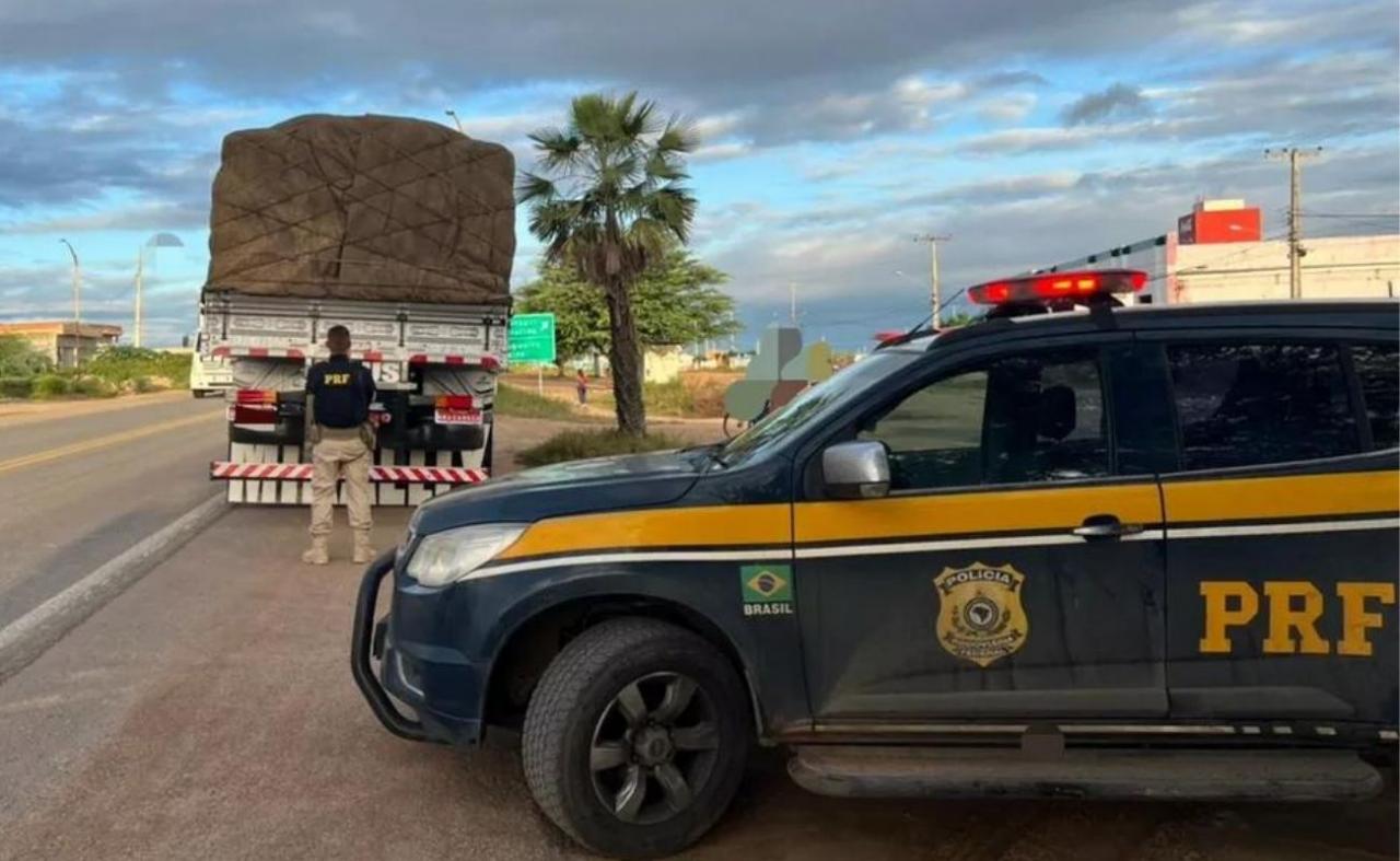 PRF apreende carreta com 16 toneladas de gesso sem nota fiscal em Ouricuri, PE