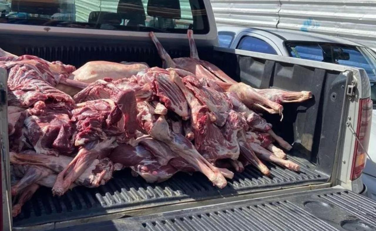 Vigilância Sanitária de Petrolina apreende 295 kg de carne, em Petrolina, PE