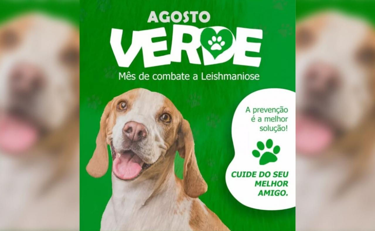 Cabrobó: Agosto Verde é marcado com ações de conscientização da leishmaniose