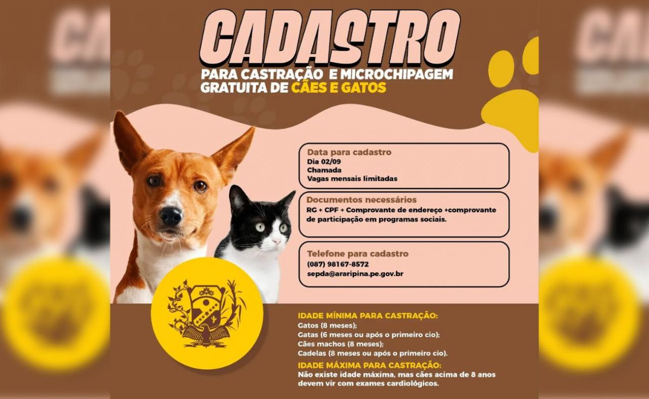 Prefeitura de Araripina inicia programa de castração de cães e gatos com microchipagem