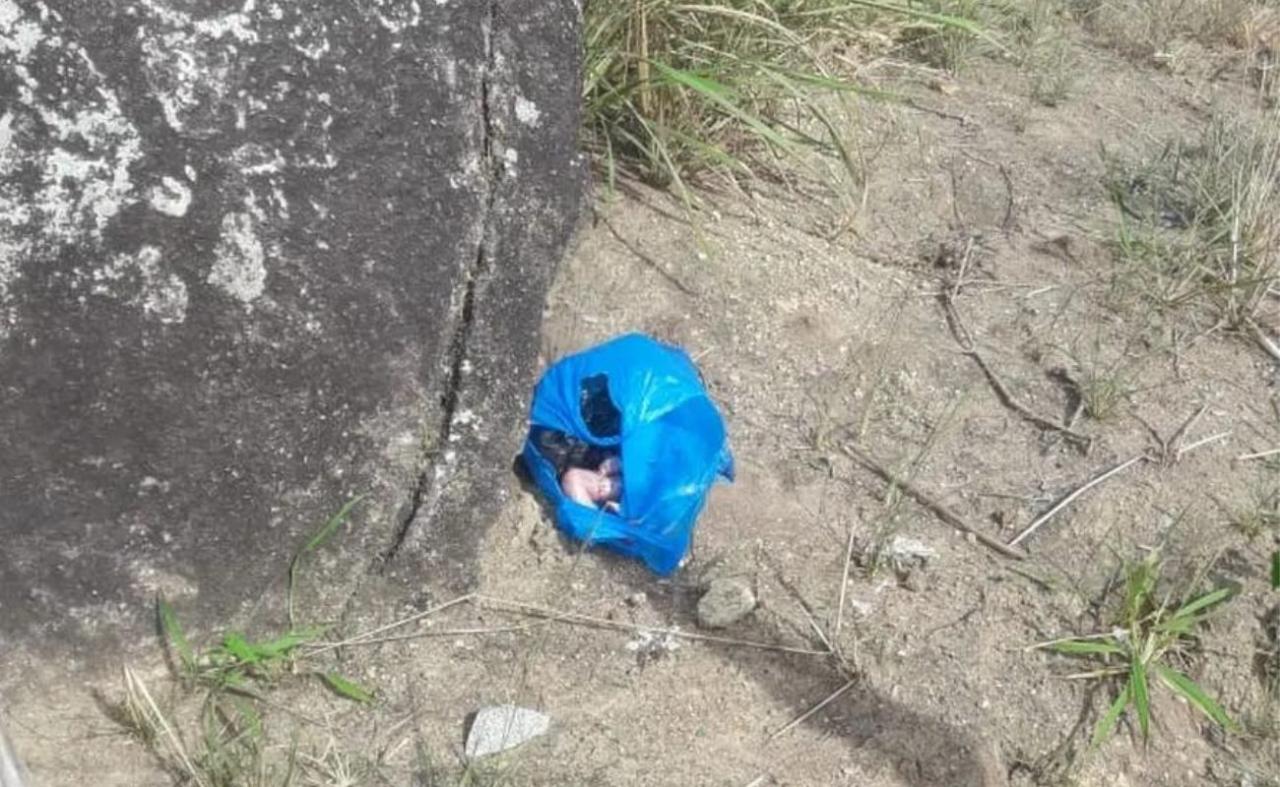 Feto é encontrado dentro de bolsa plástica na zona rural de Lagoa dos Gatos, PE