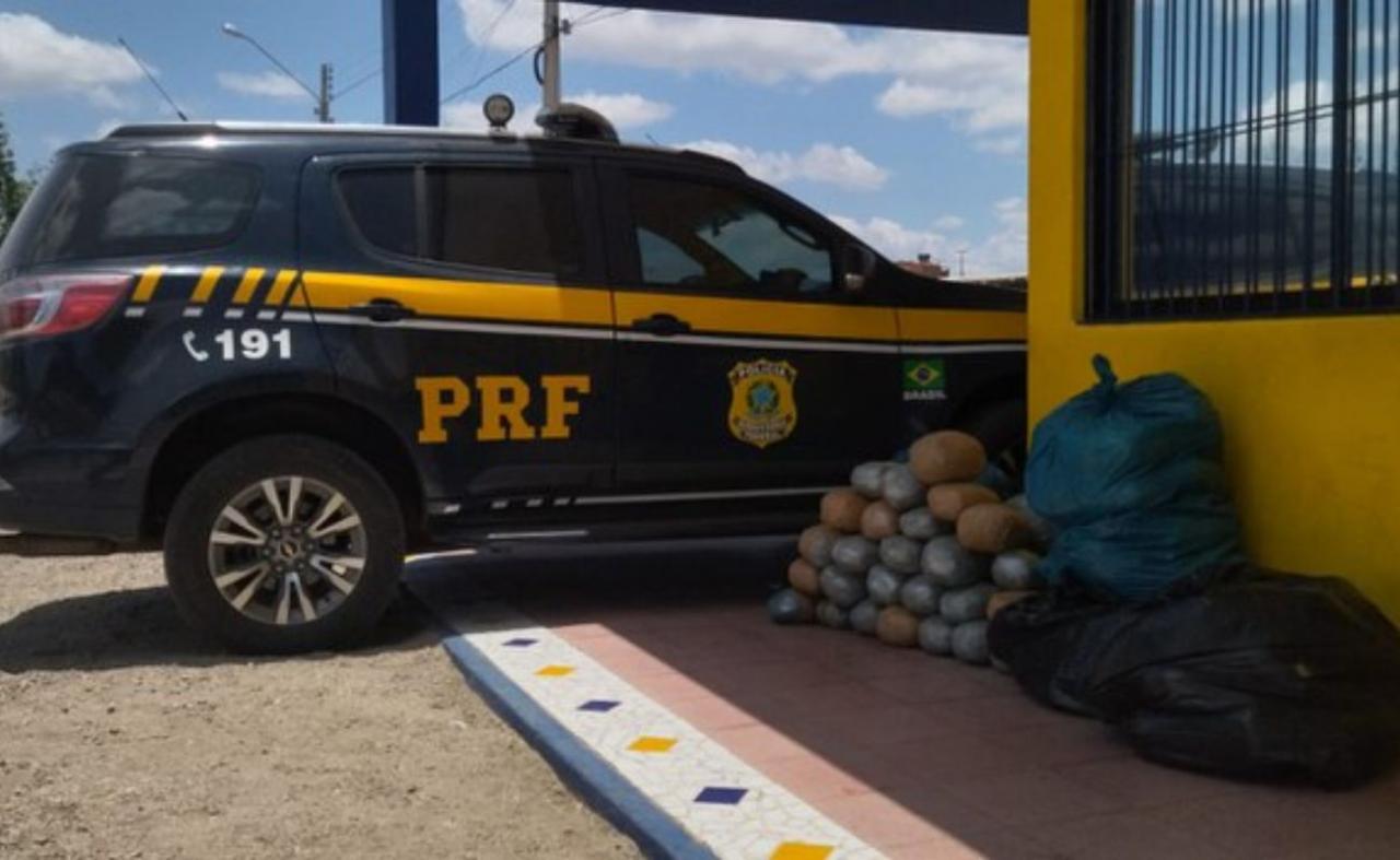 Polícia Rodoviária Federal apreende 100 kg de maconha em Sertânia, PE