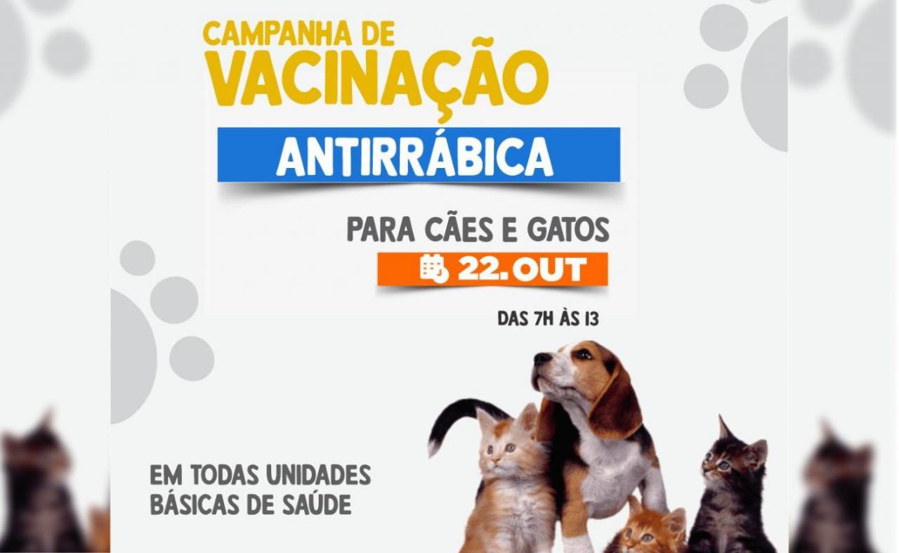 Prefeitura de Flores vai promover dia D da vacinação antirrábica animal.