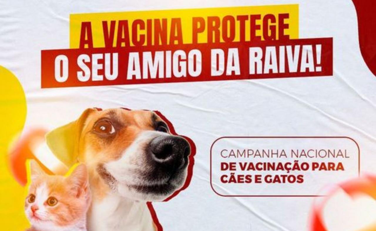 Prefeitura de Sertânia vai realizar a campanha de vacinação antirrábica 