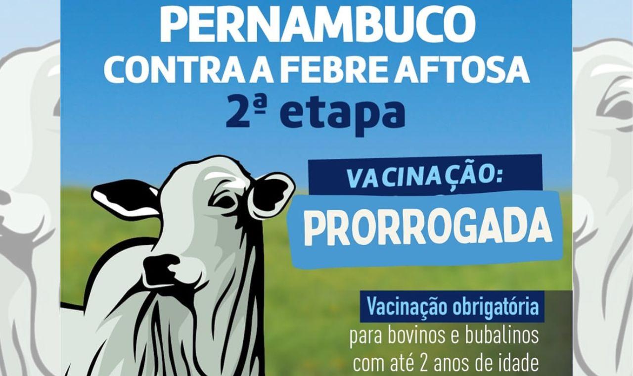 Vacinação contra a febre aftosa foi prorrogada até 17 de dezembro