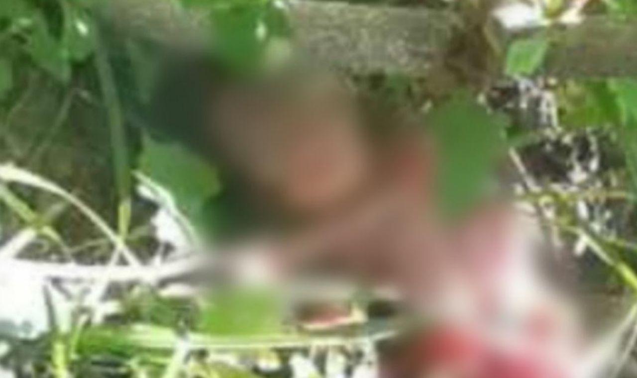 BEBÊ É ENCONTRADO MORTO DENTRO DE MATAGAL EM LAGOA GRANDE, PE