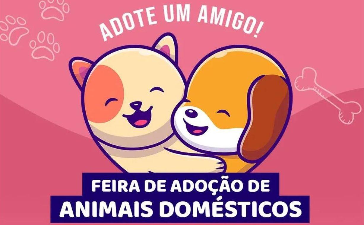 SERRA TALHADA PROMOVE FEIRA GRATUITA DE ADOÇÃO DE ANIMAIS