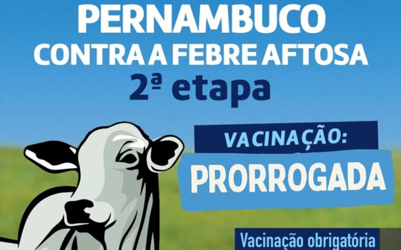 Vacinação contra febre aftosa é prorrogada até 17 de dezembro