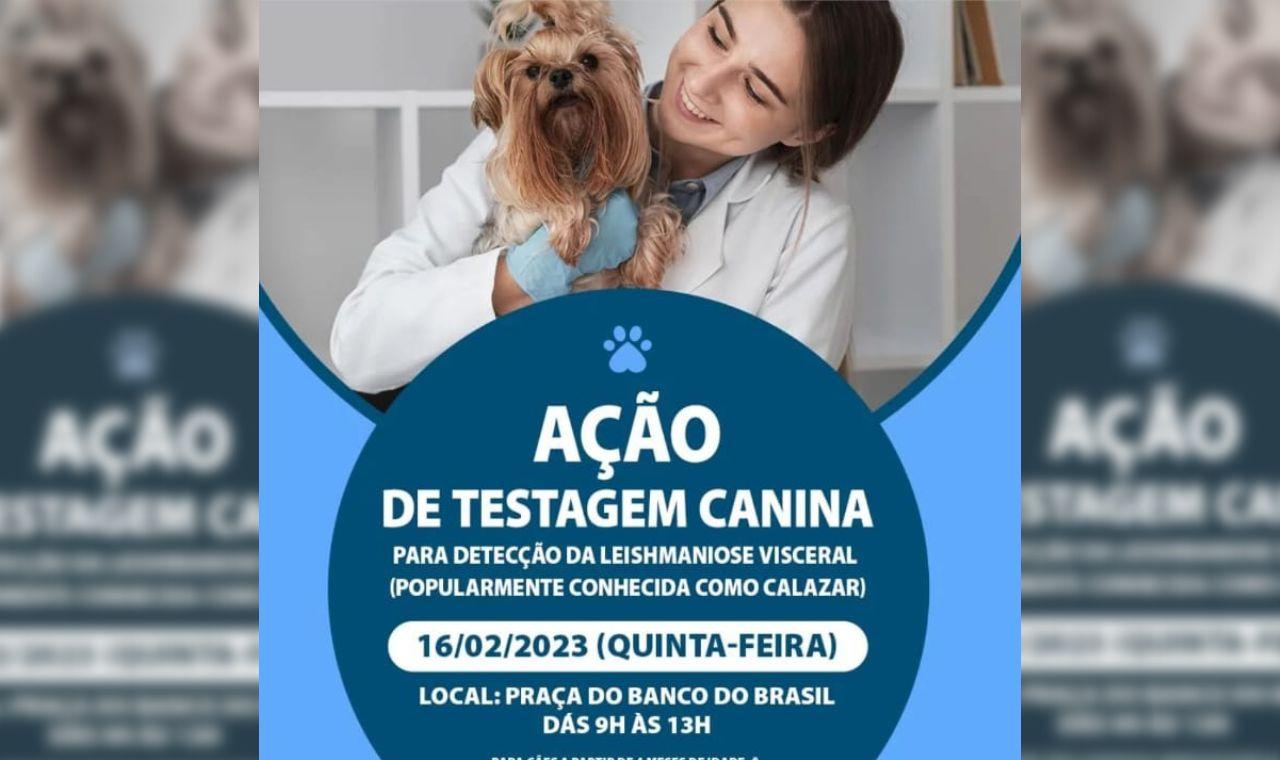 SECRETARIA DE SAÚDE DE CABROBÓ PROMOVE AÇÃO DE COMBATE À LEISHMANIOSE VISCERAL CANINA