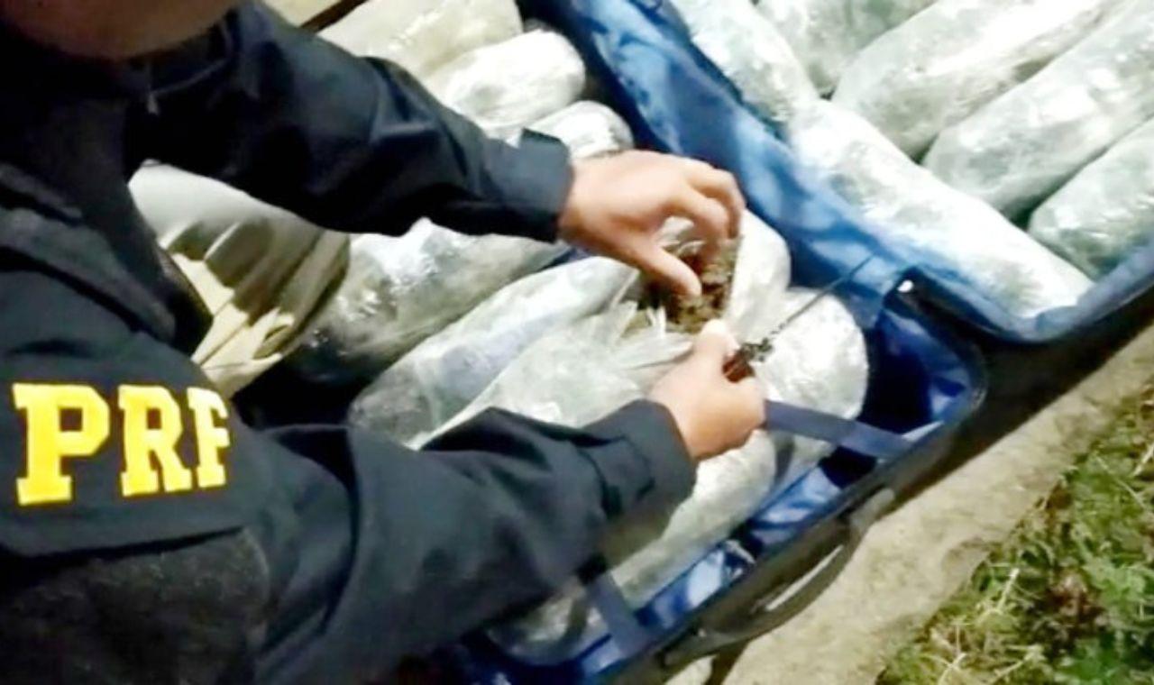PASSAGEIRO DE ÔNIBUS QUE TRANSPORTAVA 20 KG DE MACONHA É DETIDO PELA PRF EM SERTÂNIA, PE
