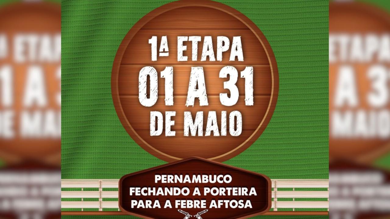 PERNAMBUCO INICIA A 1ª ETAPA DA CAMPANHA DE VACINAÇÃO CONTRA FEBRE AFTOSA DE 2023