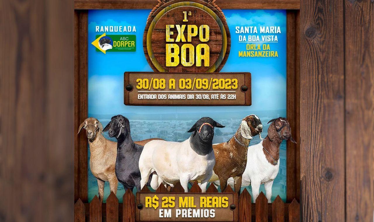 SANTA MARIA DA BOA VISTA REALIZA A 