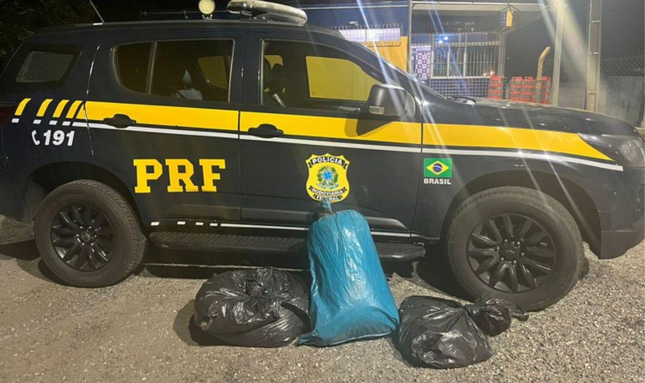 PRF APREENDE 25,5 KG DE MACONHA EM SERRA TALHADA, PE