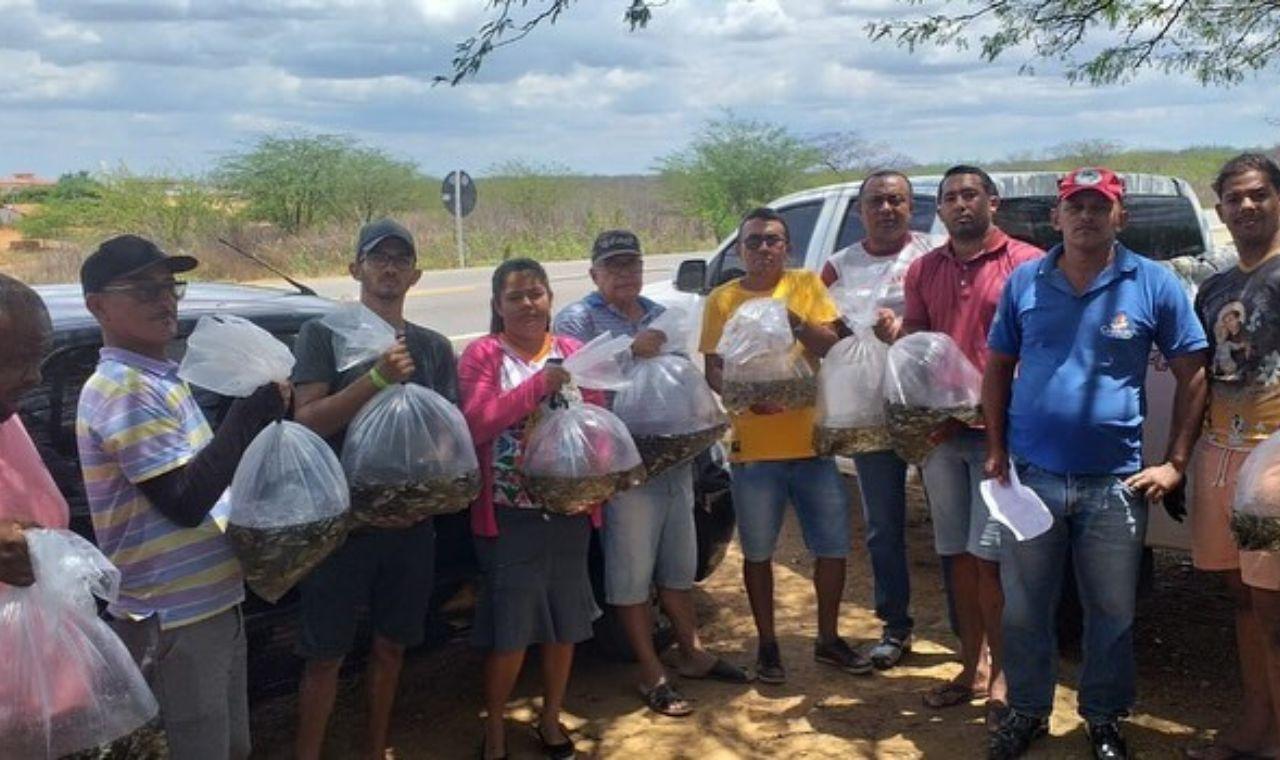 AGRICULTORES FAMILIARES DE CABROBÓ RECEBEM 40 MIL ALEVINOS