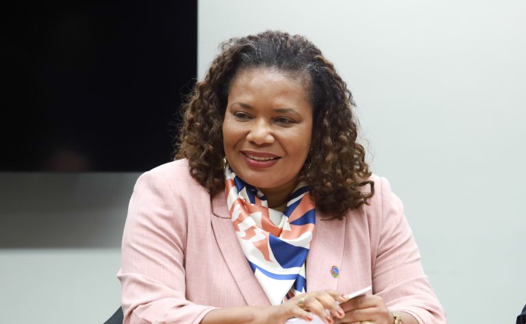 Comissões ouvem ministra da Cultura sobre prioridades da pasta