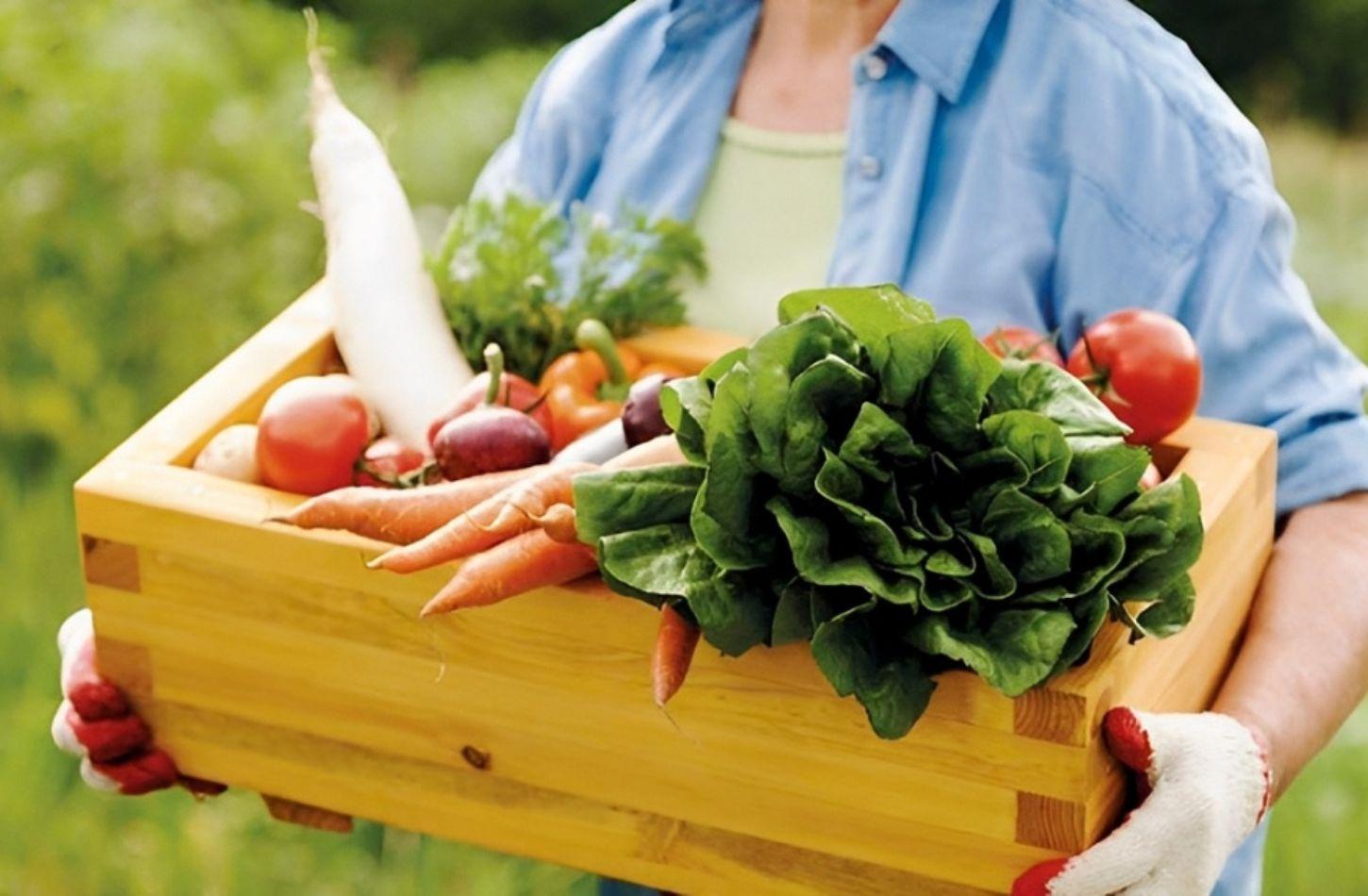 IBIMIRIM LANÇA CHAMADA PÚBLICA PARA AQUISIÇÃO DE ALIMENTOS DA AGRICULTURA FAMILIAR