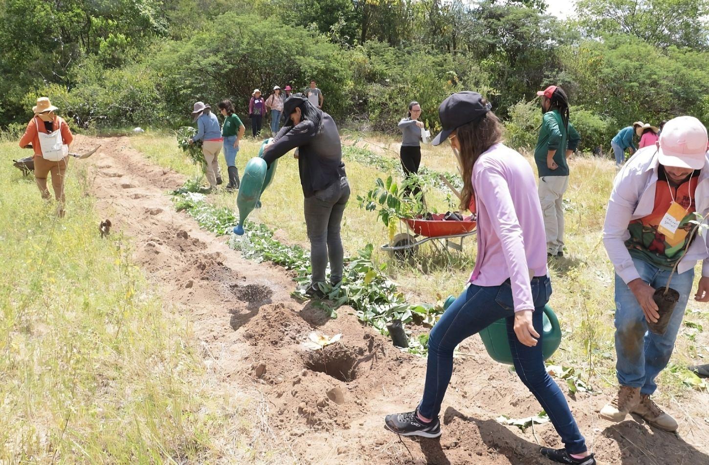 PROJETO DE RESTAURAÇÃO DA CAATINGA AVANÇA EM PE E NO RN
