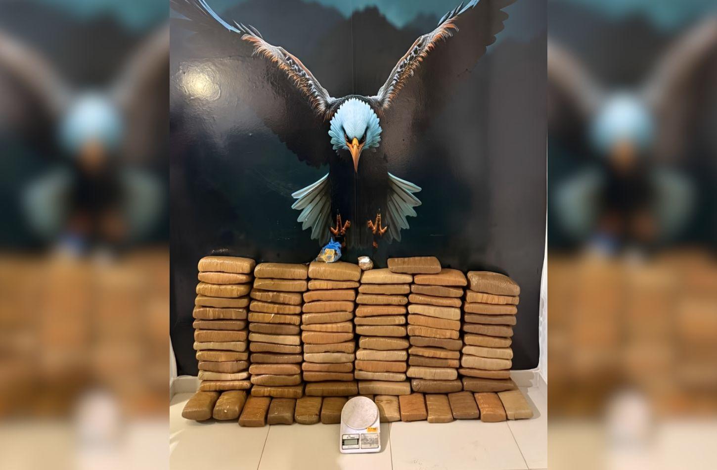 MULHERES SÃO PRESAS COM 43 KG DE MACONHA EM PETROLINA, PE