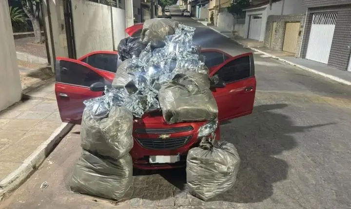 BEPI APREENDE CERCA DE 110 QUILOS DE MACONHA EM FLORES, PE